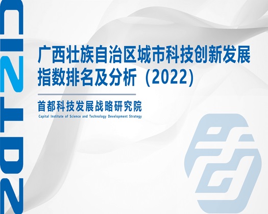 你大秀操逼片【成果发布】广西壮族自治区城市科技创新发展指数排名及分析（2022）